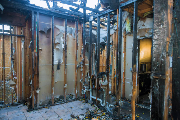 Professional Fire Damage Repair technician working in Edgewater, MD